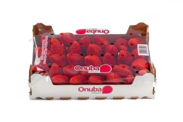 Onubafruit Strawberry, 1 Kg Case